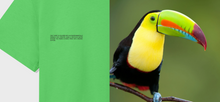 Load image into Gallery viewer, Pangaia Jade Green Crop Top shirt
