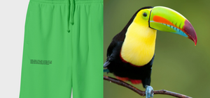 Jade Green Track Pants