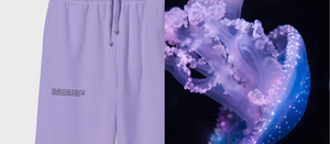 Orchid Purple Track Pants