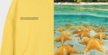 Load image into Gallery viewer, Starfish Yellow Track Suit
